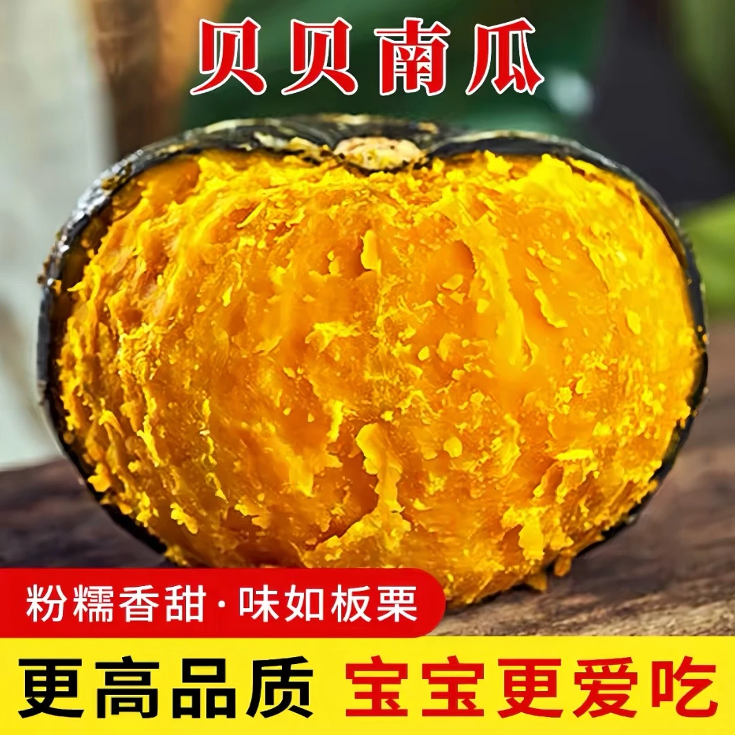 【坏果包赔】正宗板栗味贝贝南瓜面粉香甜高品质辅食新鲜