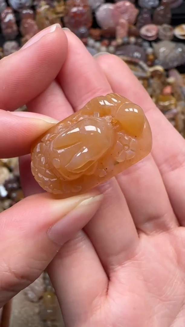 颈饰未镶嵌硅化珊瑚（珊瑚玉）218