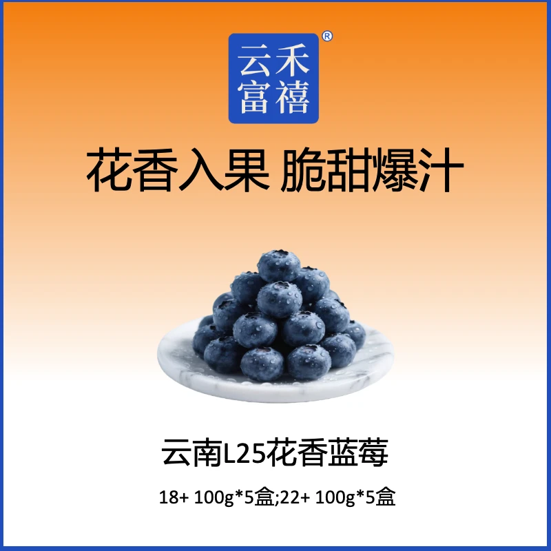 云南L25花香蓝莓 花香浓郁 顺丰空运100g/罐 5罐/箱