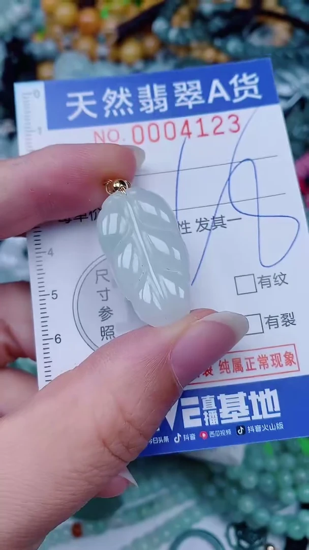 翡翠未镶嵌颈饰00004123