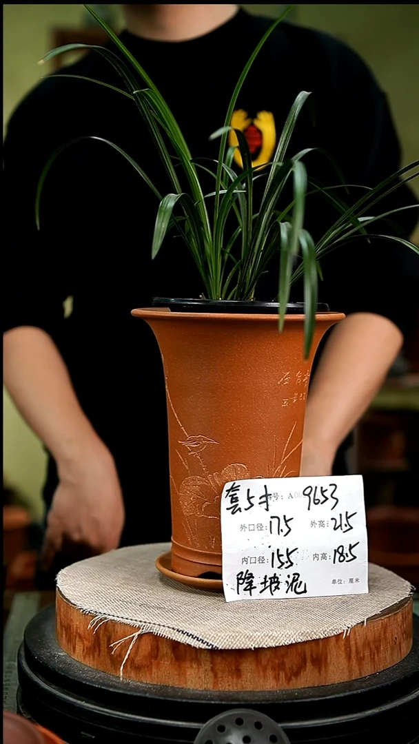紫砂花盆花卉园艺9653+z