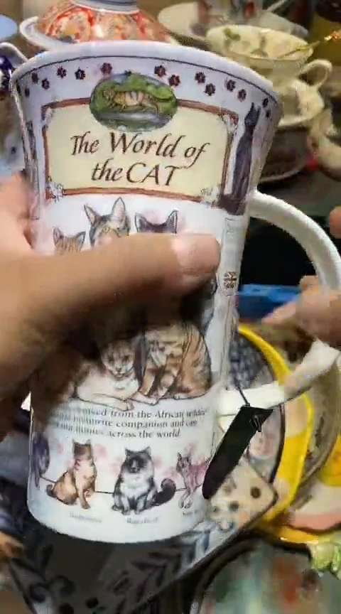 瓷片111111111111@@1