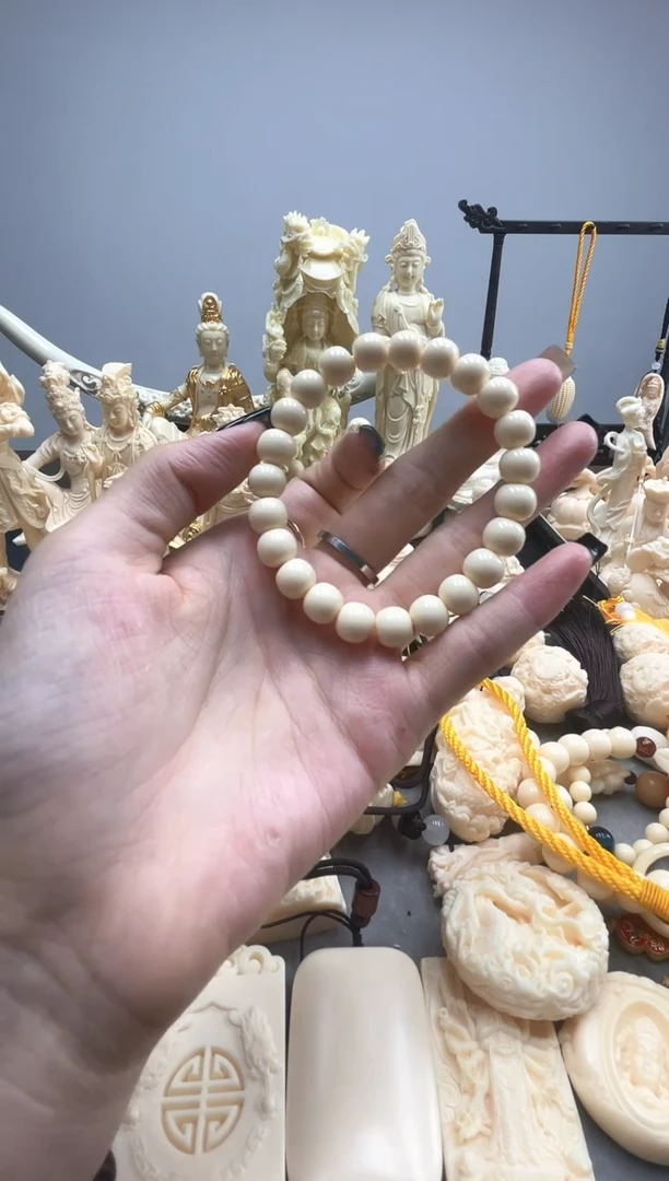 象牙果卡9老型
