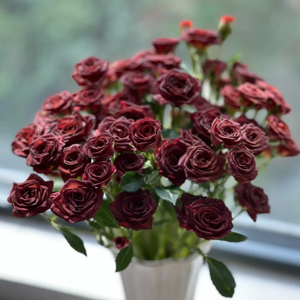 【云南鲜花】多头（巧克力糖）玫瑰 1单普通包邮，2单以上顺丰冷链