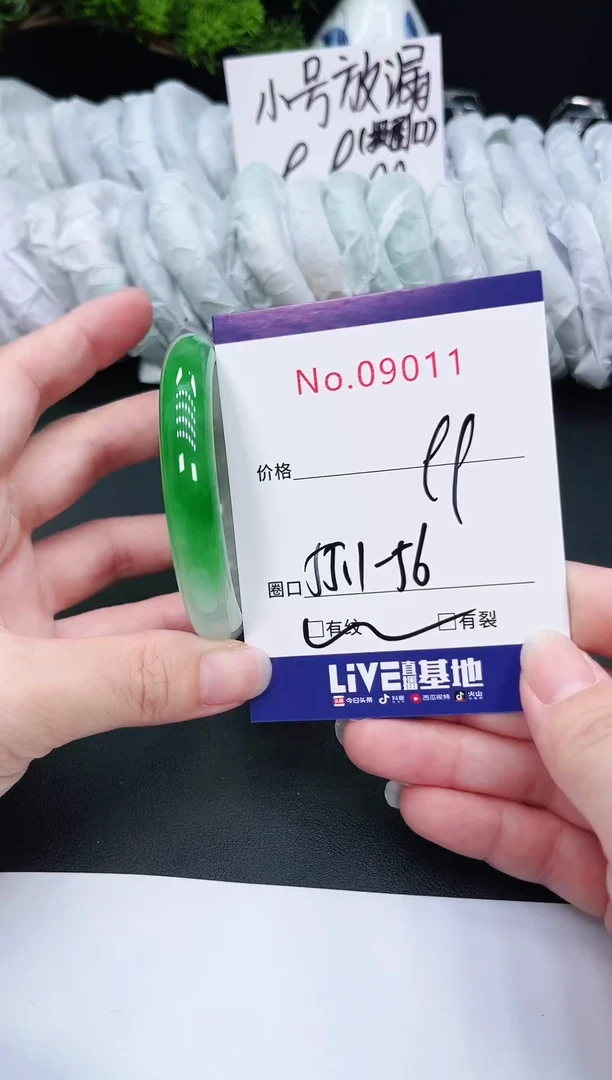 未镶嵌手镯翡翠9011