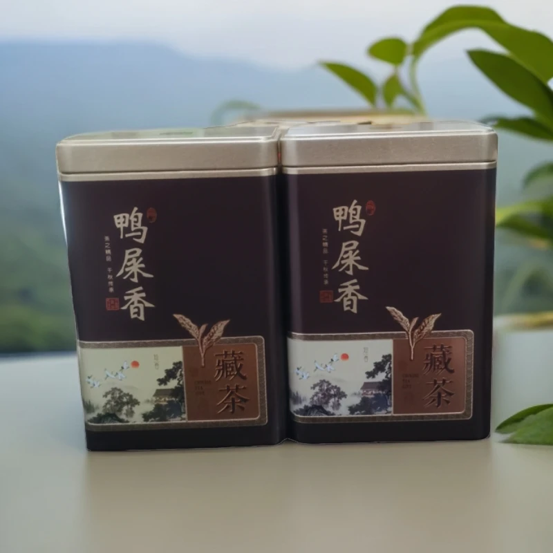 潮州凤凰单丛高山奶香味鸭屎香