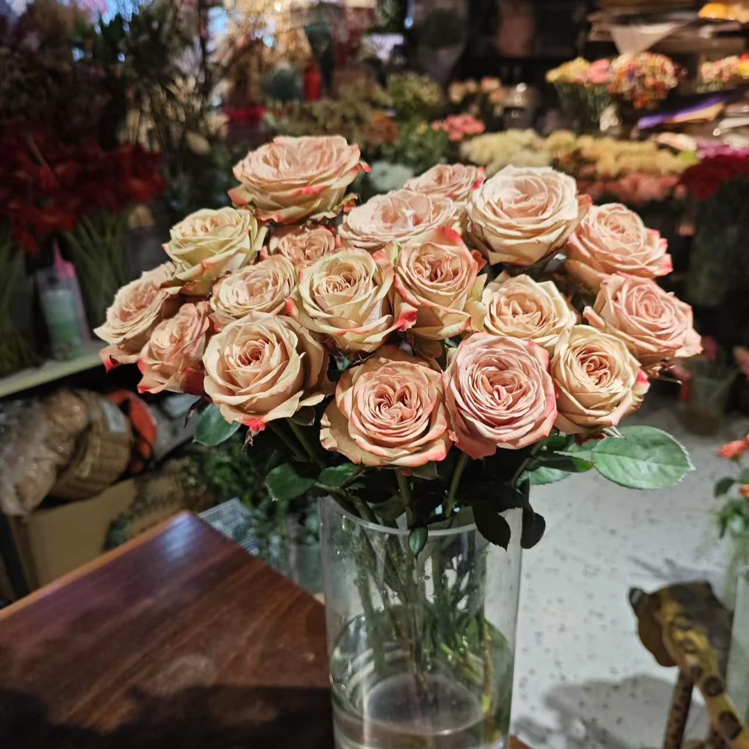 老板娘专属『卡布10支』全场任意满两单鲜花顺丰包邮 满二单顺丰包邮 鲜花直播批发次日达包邮