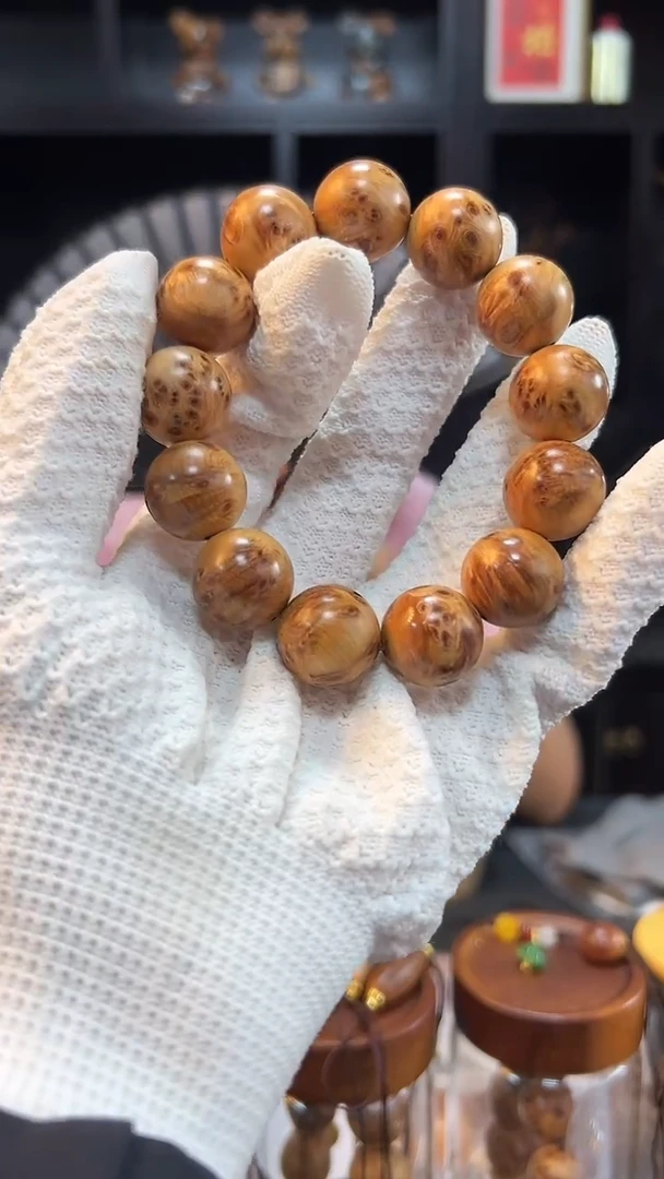1.8瘤花火焰 从柏说起