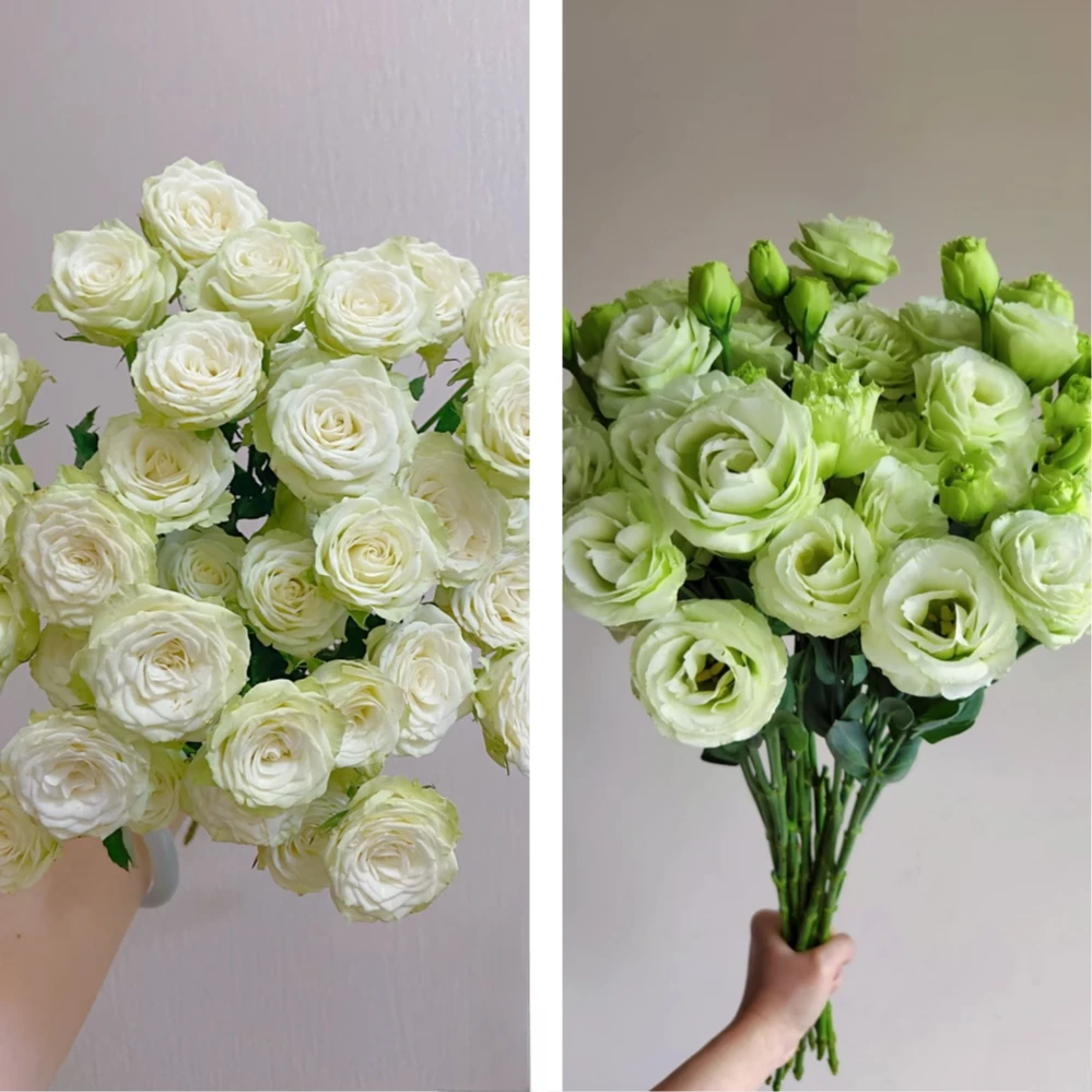 【绿野仙踪】宠粉专属组合 繁星多头玫瑰10支+洋桔梗(绿)300g