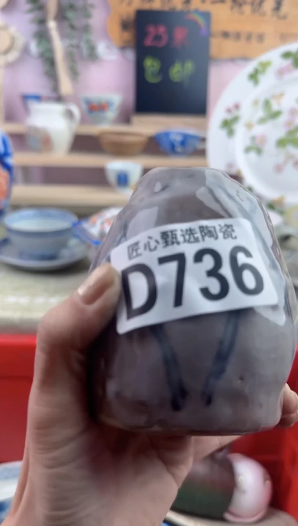 瓷片国**南        D736