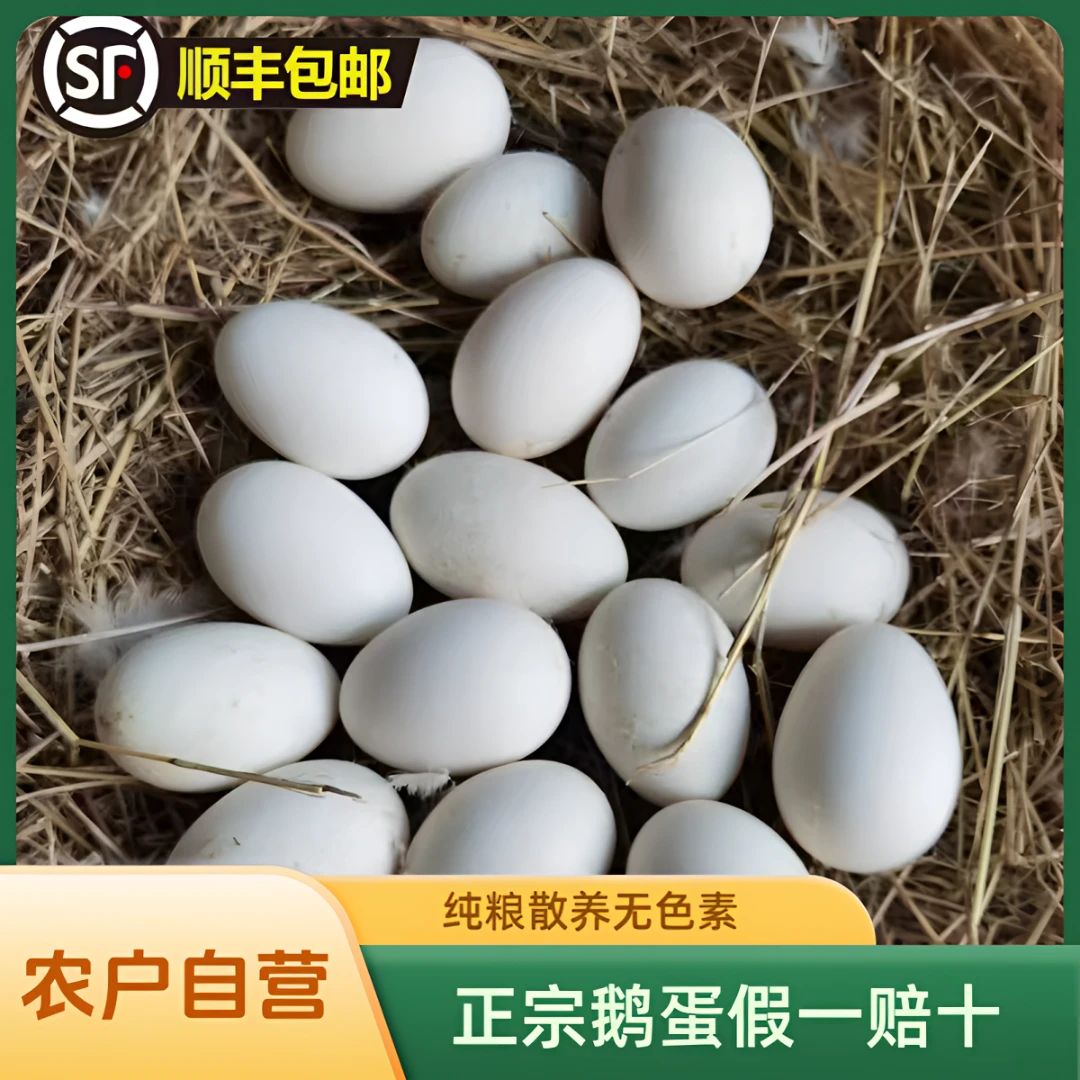 150-170克12枚-总净重≥1850克新鲜散养农家鹅蛋新鲜农家散养