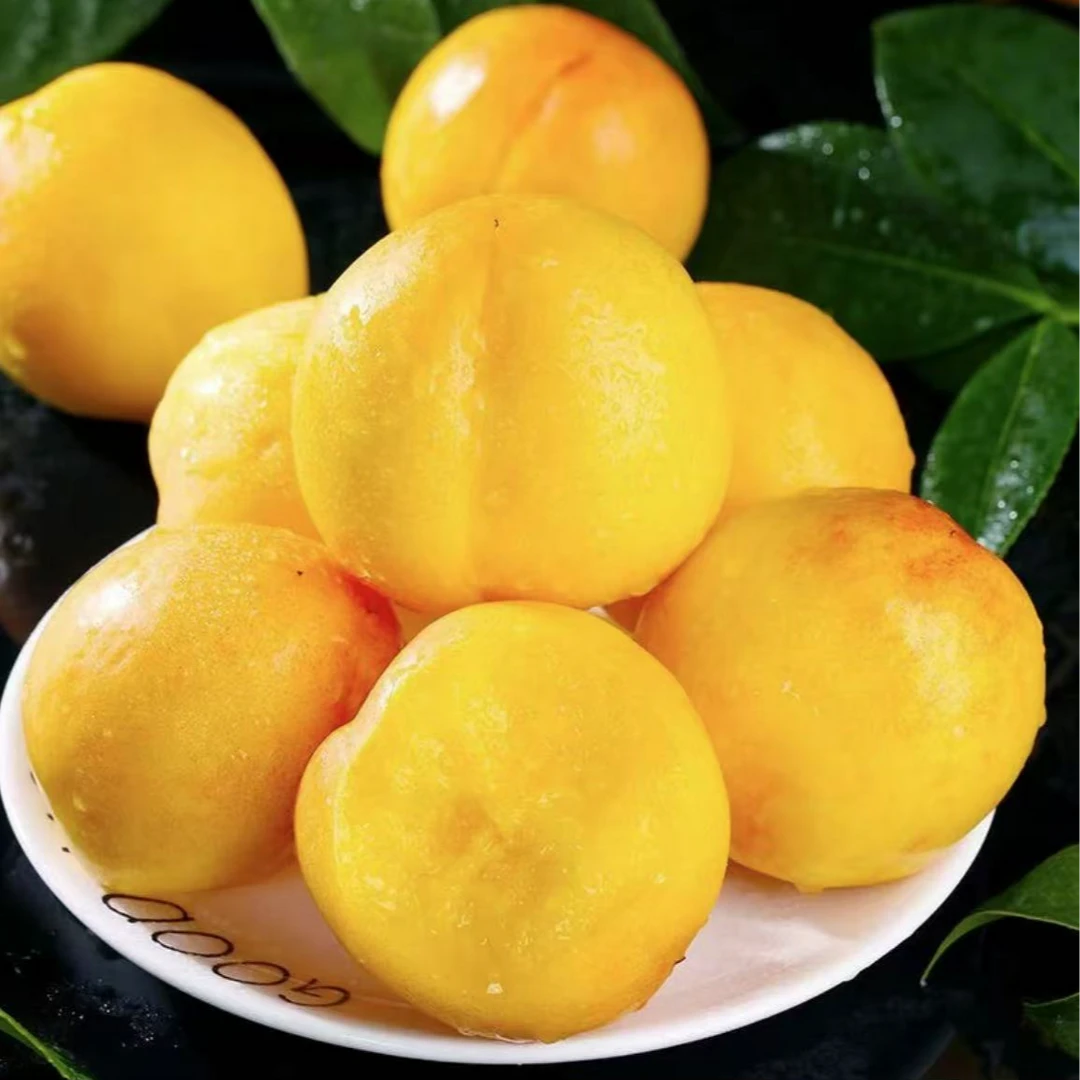 《果立方》黄金蜜油桃香味浓郁脆甜多汁新鲜水果顺丰包邮g当季新鲜水果桃子云南省