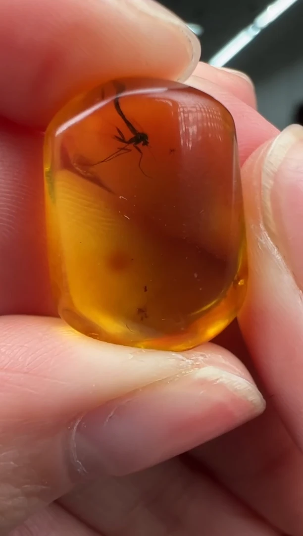 琥珀颈饰未镶嵌吊坠