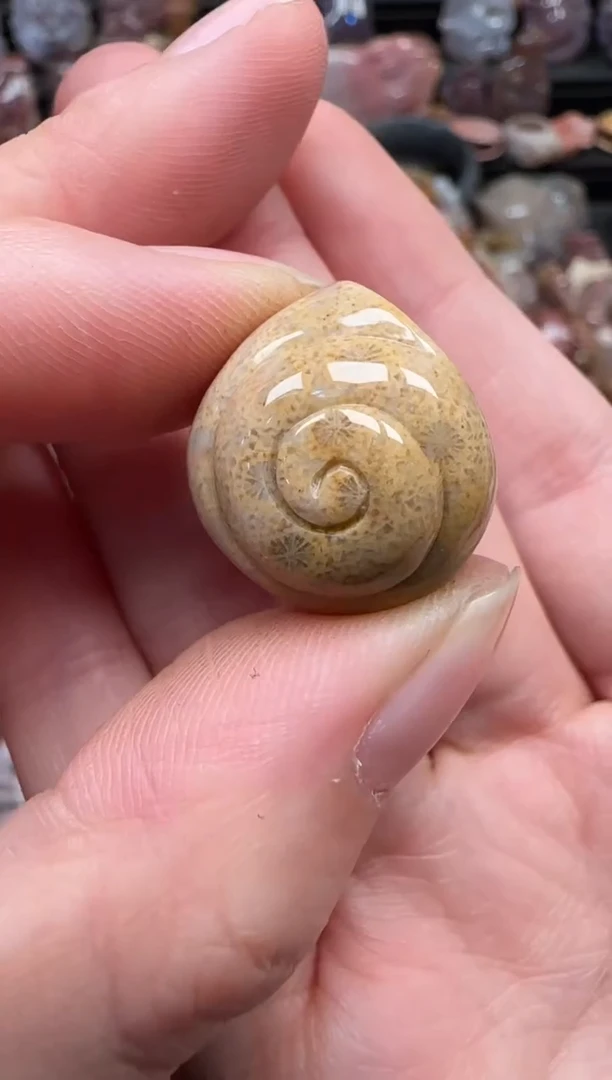 颈饰未镶嵌硅化珊瑚（珊瑚玉）090