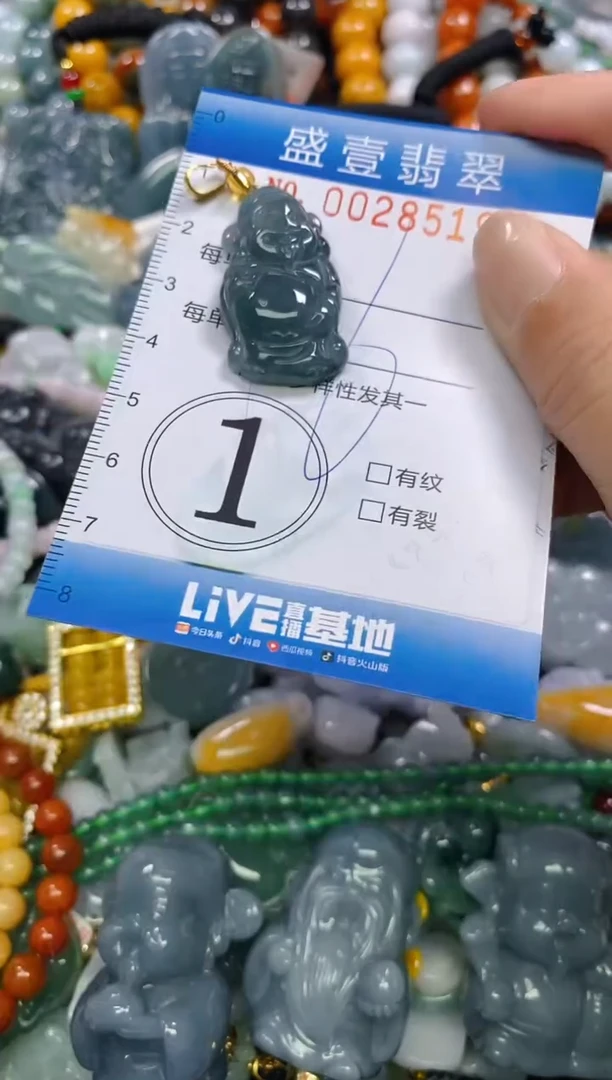 颈饰未镶嵌翡翠闪购0028519