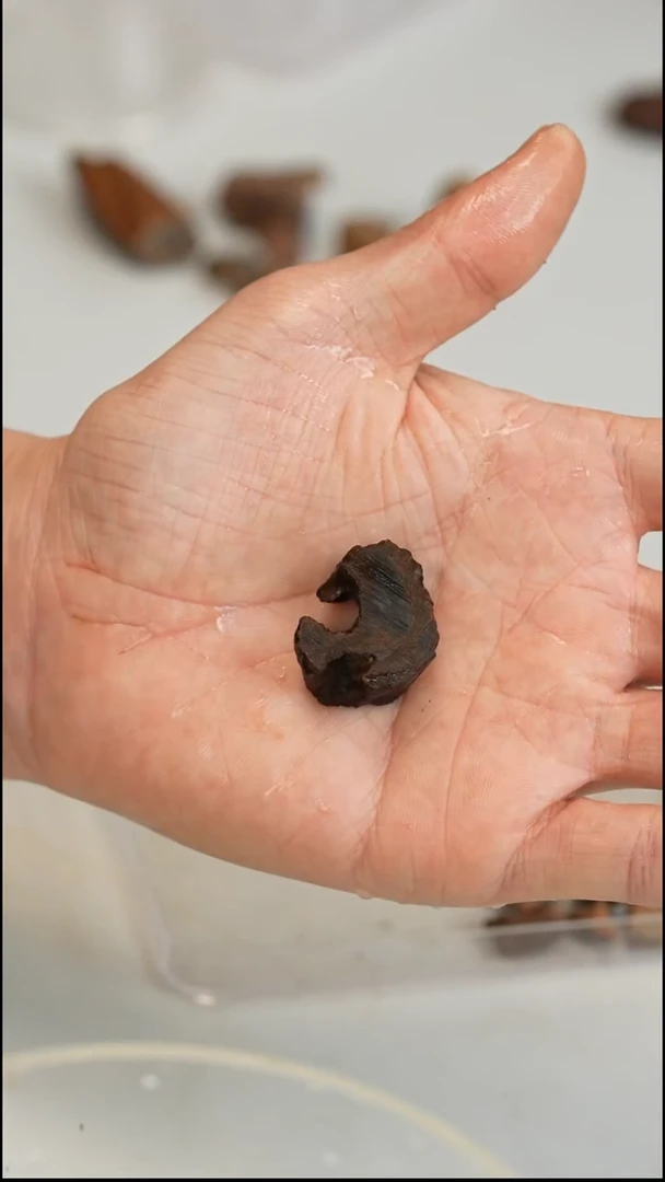 沉香沉香碎屑越南富森红土沉水4.3g