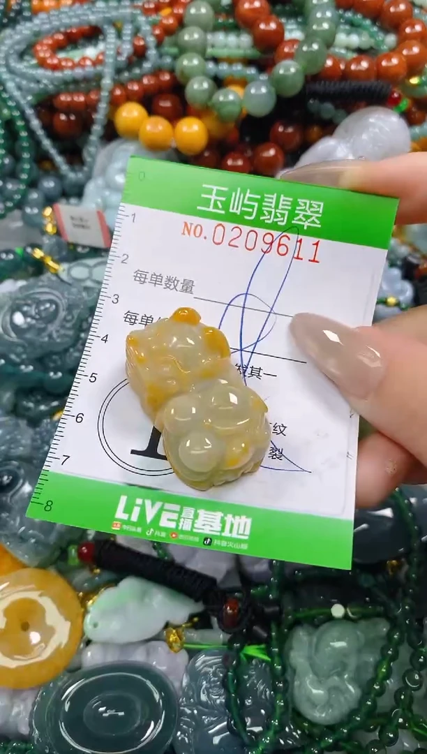 颈饰未镶嵌翡翠闪购0209611
