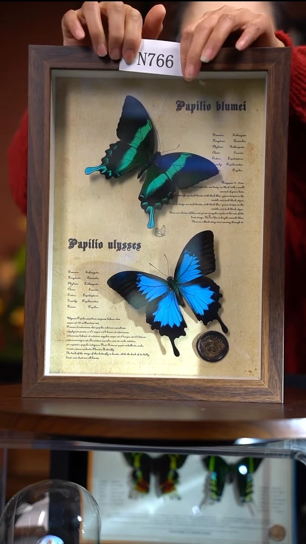 N766天堂+爱神复古框组合