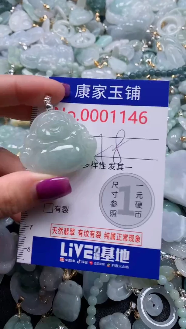 颈饰未镶嵌翡翠1146