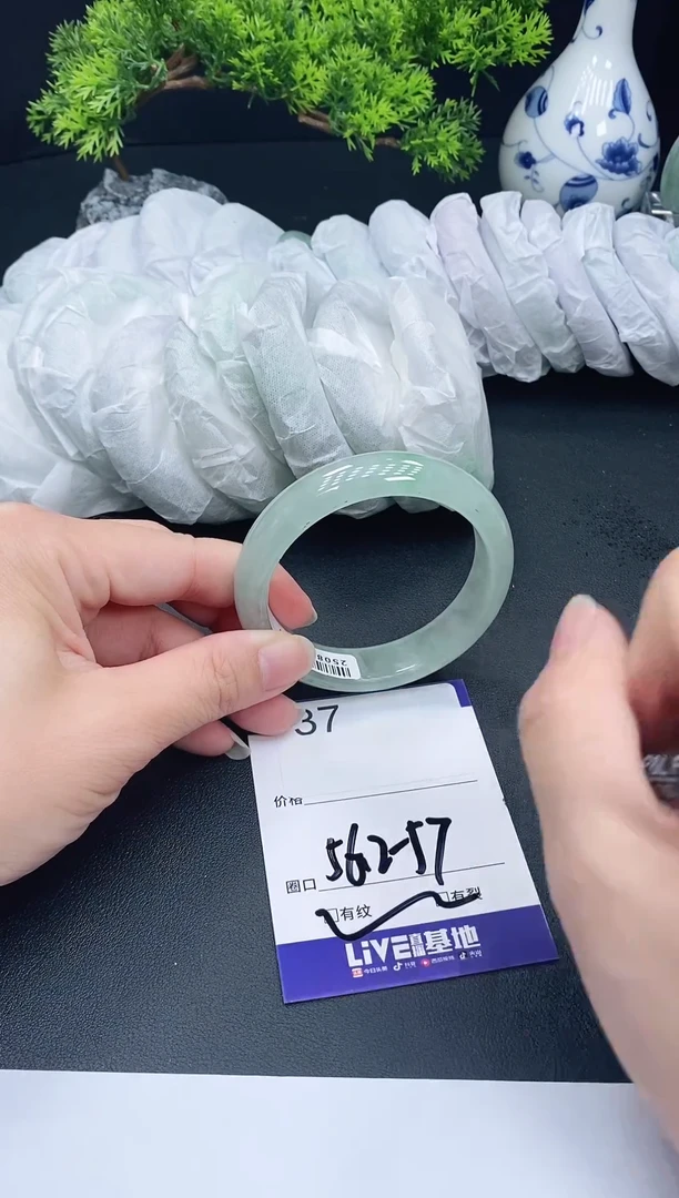 未镶嵌手镯翡翠37
