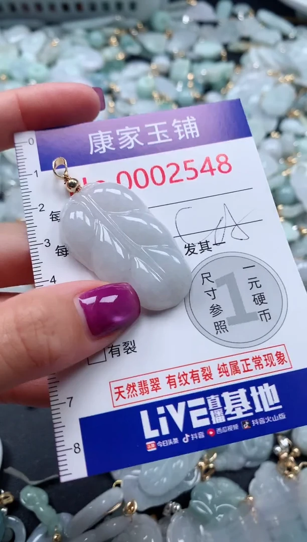 颈饰未镶嵌翡翠2548