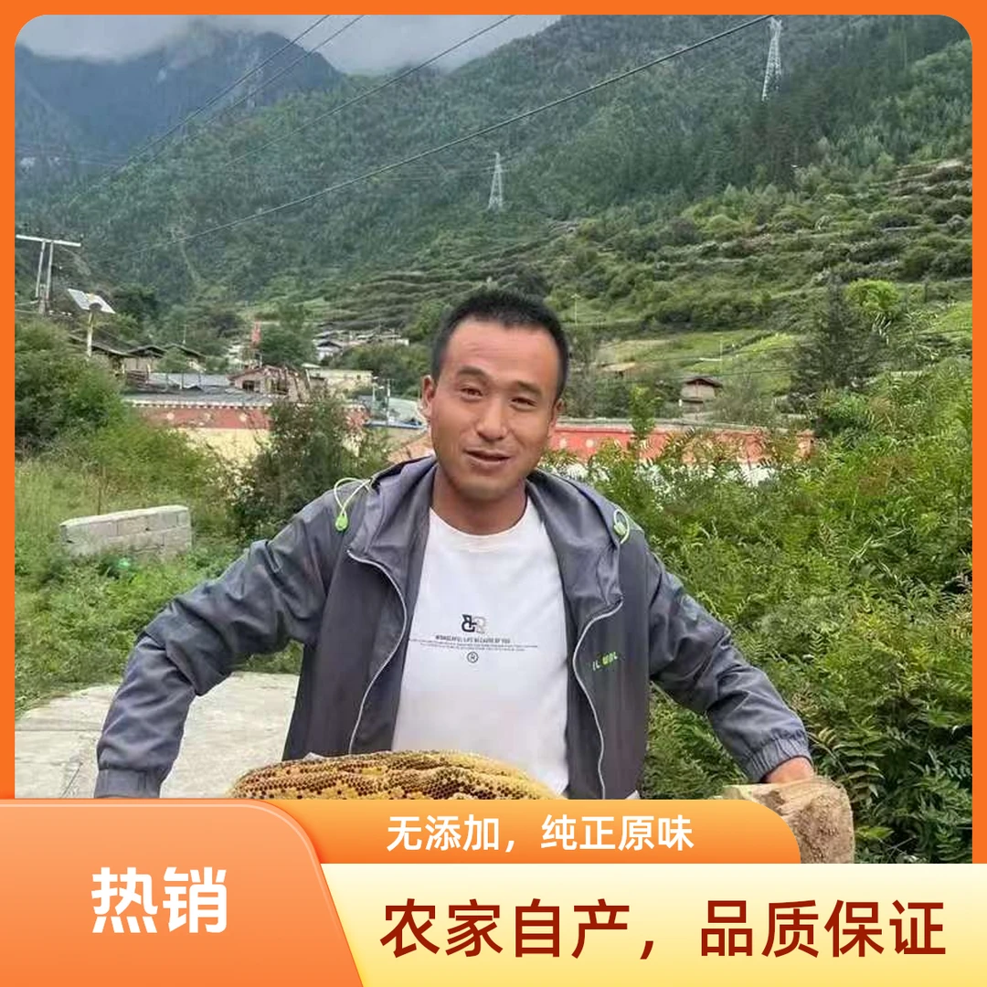 二蛋推荐藏区土蜂蜜500克无添加