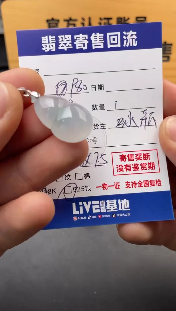 颈饰银S925镶嵌翡翠10147385
