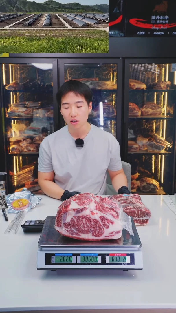 24中国大陆a2上脑 2kg