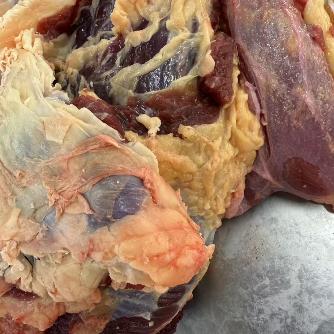 【小翠专属】延边黄牛牛腩肉5斤