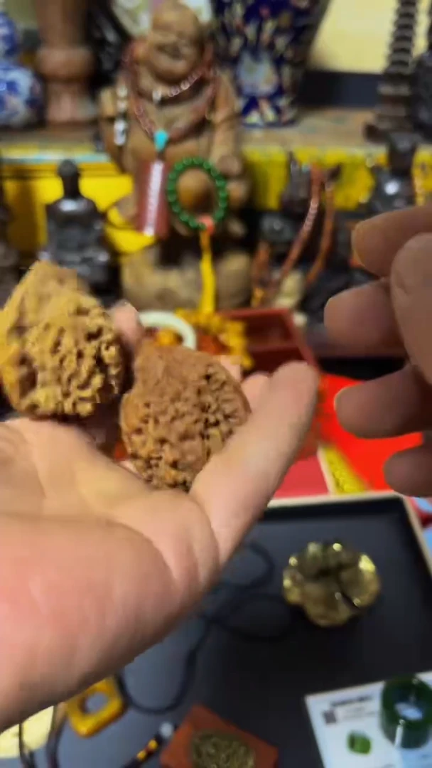 木顺顺集藏主播推荐