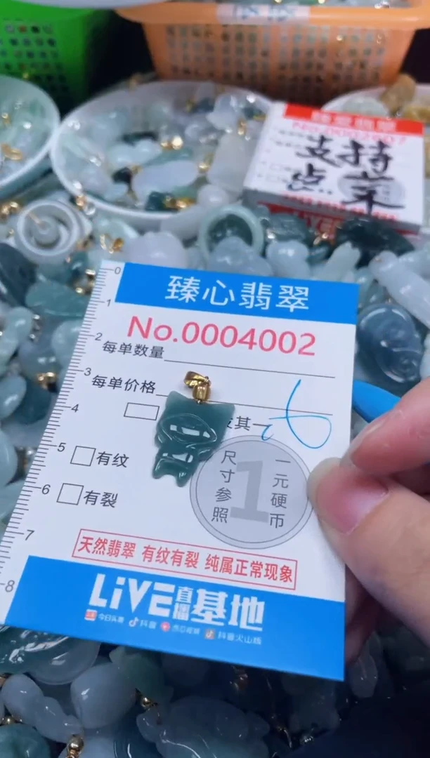 颈饰未镶嵌翡翠4002