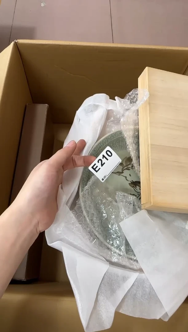 潜*鸟210...中古產品謹慎參拍