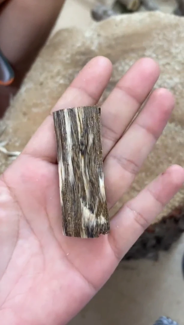 沉香碎屑沉香棋楠沉香 原料文创1