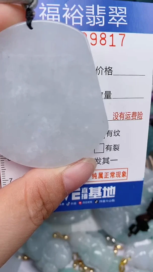 翡翠未镶嵌颈饰...0009817