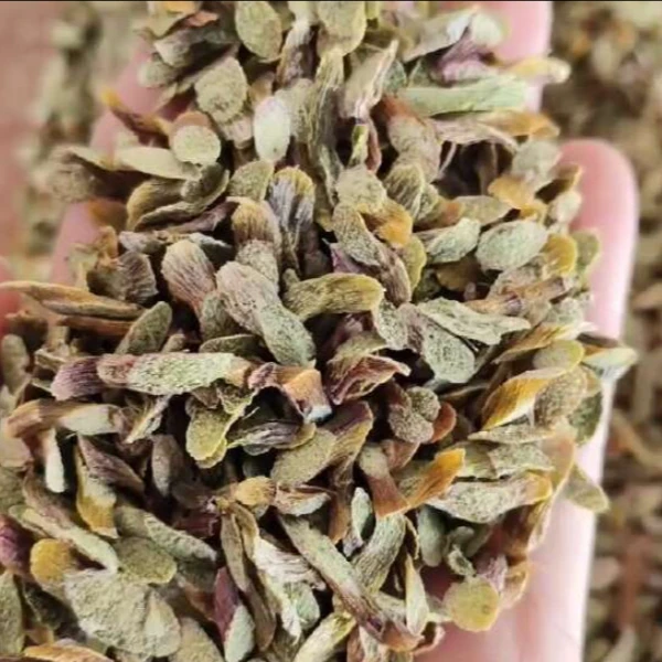 云南特产山货石斛片