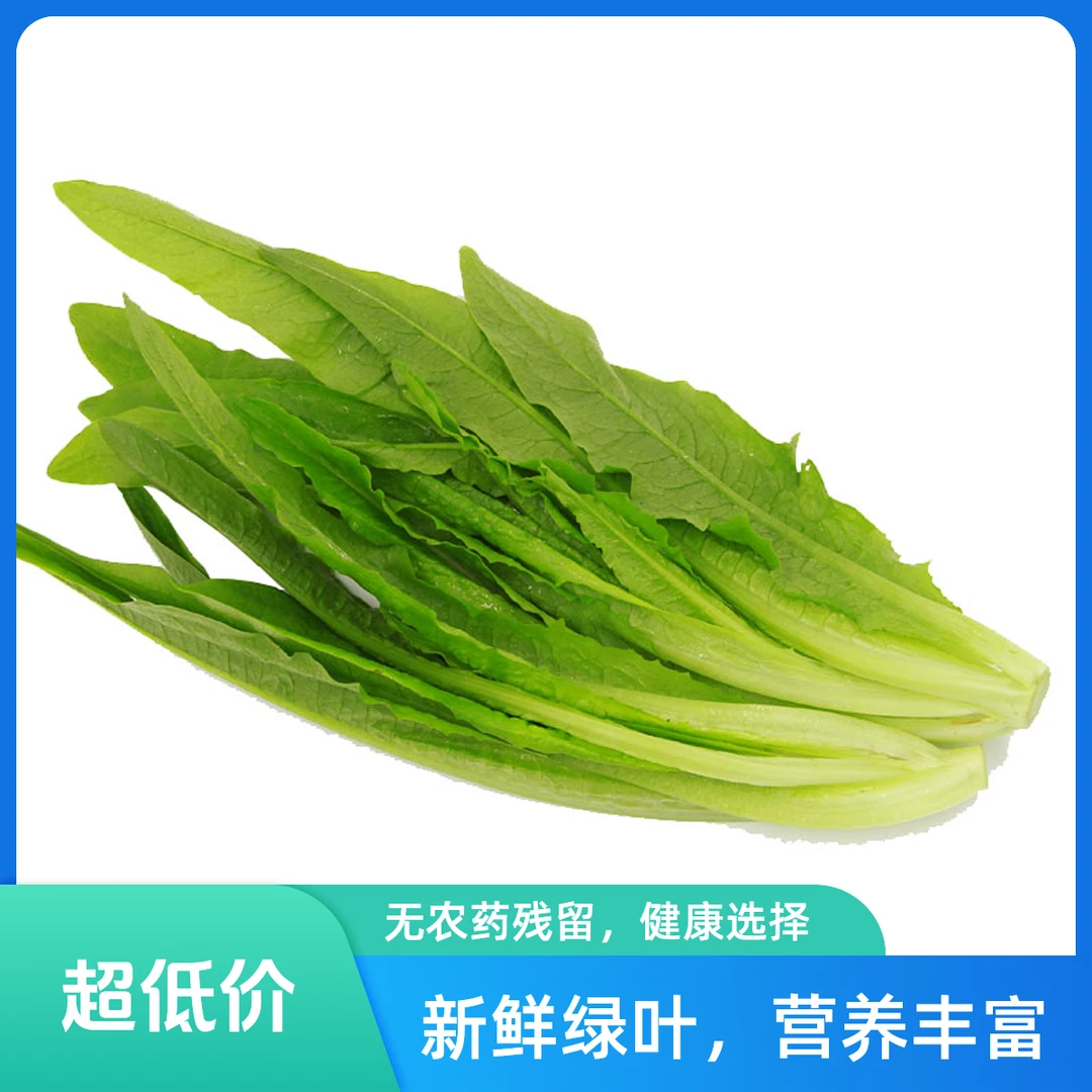 【散】油麦菜约400g±30g/份