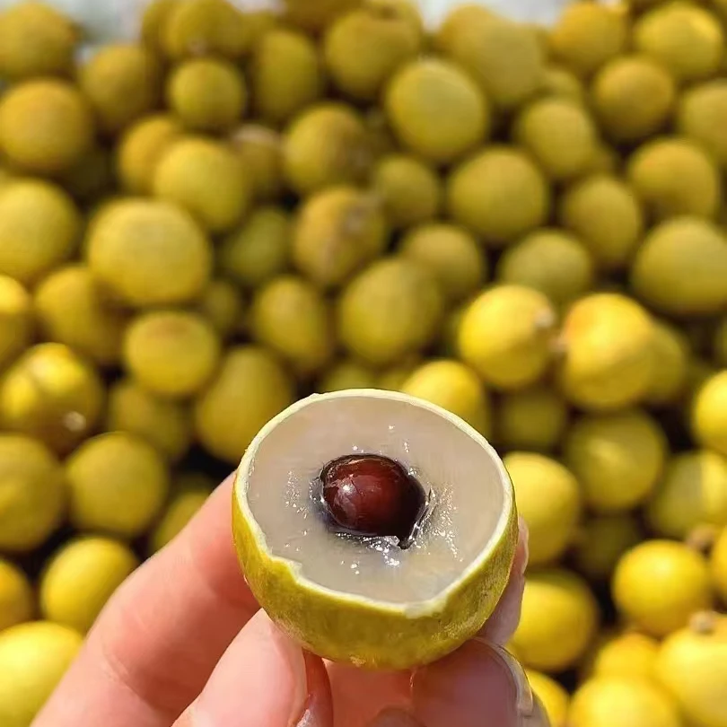 泰国新鲜龙眼三斤装，脆甜多汁