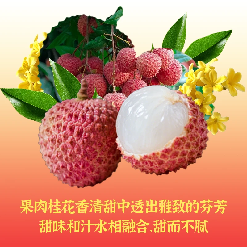【偏远地区】广东茂名高州当季新鲜桂味荔枝顺丰空运果园直发批发