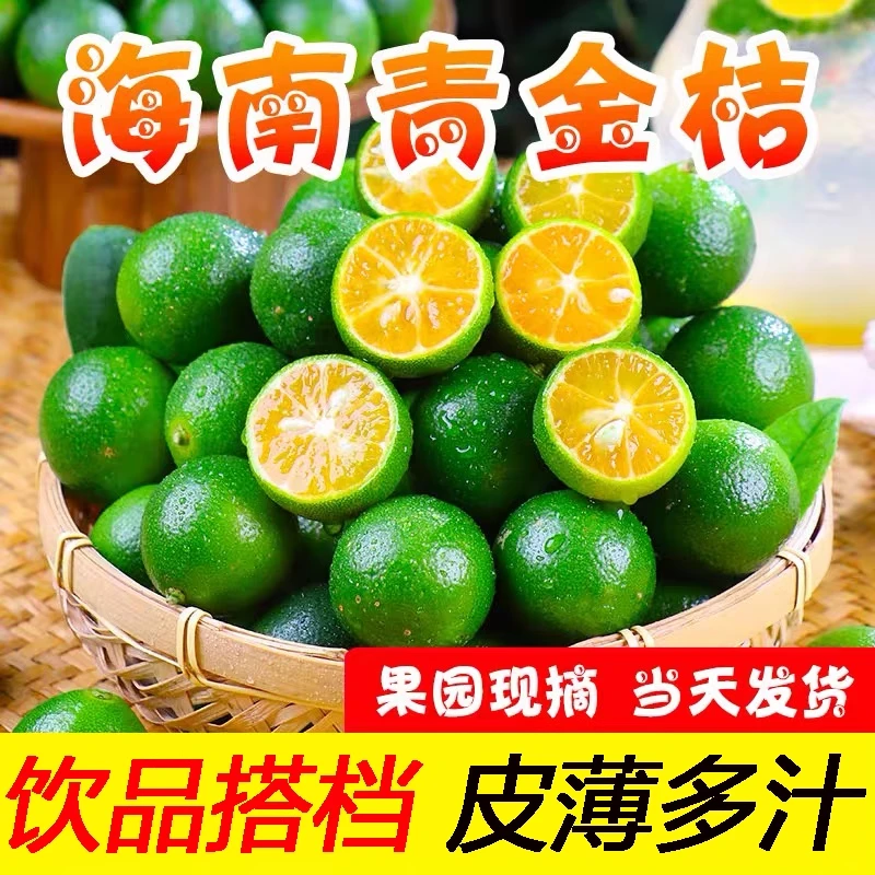 新鲜海南青金桔青桔子小青柠奶茶店酸爽新鲜水果小青桔橘子