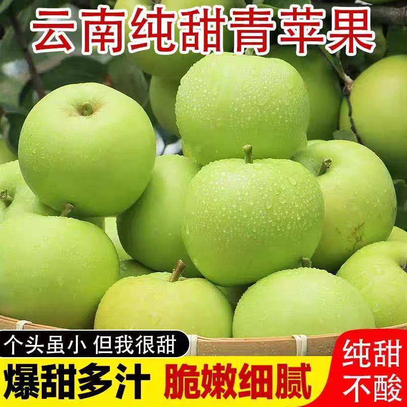 【纯甜无酸】25年云南昭通青苹果脆甜苹果新鲜采摘孕妇水果昭通苹果
