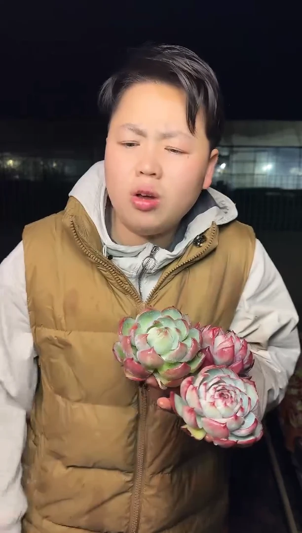 露养区架子上脱土小惊鸿 5