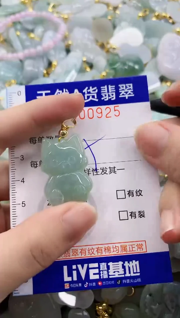 颈饰未镶嵌翡翠天然A货翡翠
