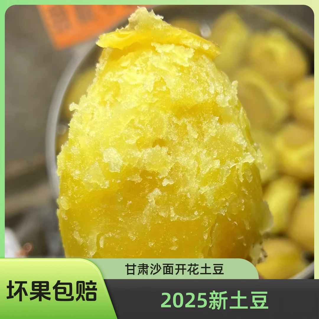 2025甘肃新土豆定西沙糯粉面开花洋芋粗麻皮沙地黄皮黄心高山蔬菜