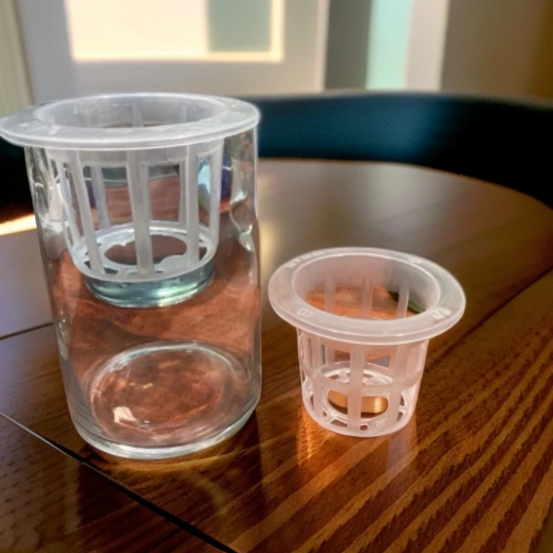 水培植物定植篮8厘米到15厘米口径花瓶使用5个装透明款式