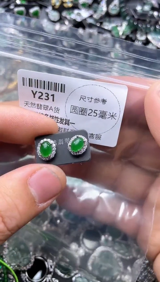 【闪购商品】翡翠颈饰未镶嵌Y231耳钉