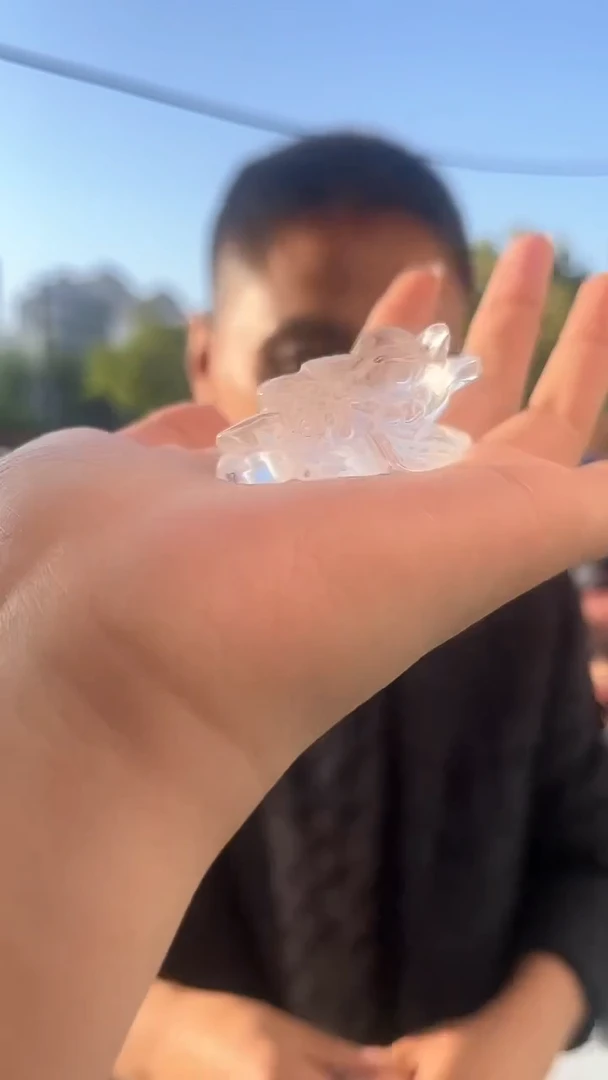 雕刻未镶嵌水晶天然金蟾多样性发一mm