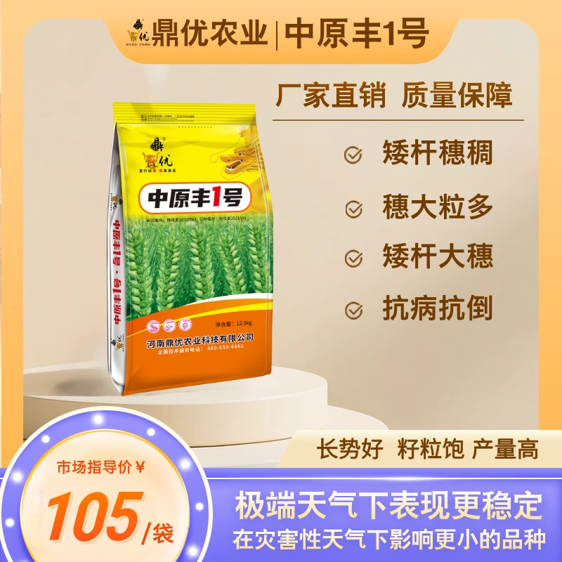 鼎优中原丰1号高产抗冻大穗小麦种抗性好分蘖力强适合大面积种植