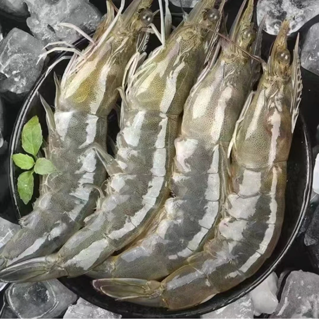 青岛海捕大虾大号海虾到手4斤 肉质鲜嫩