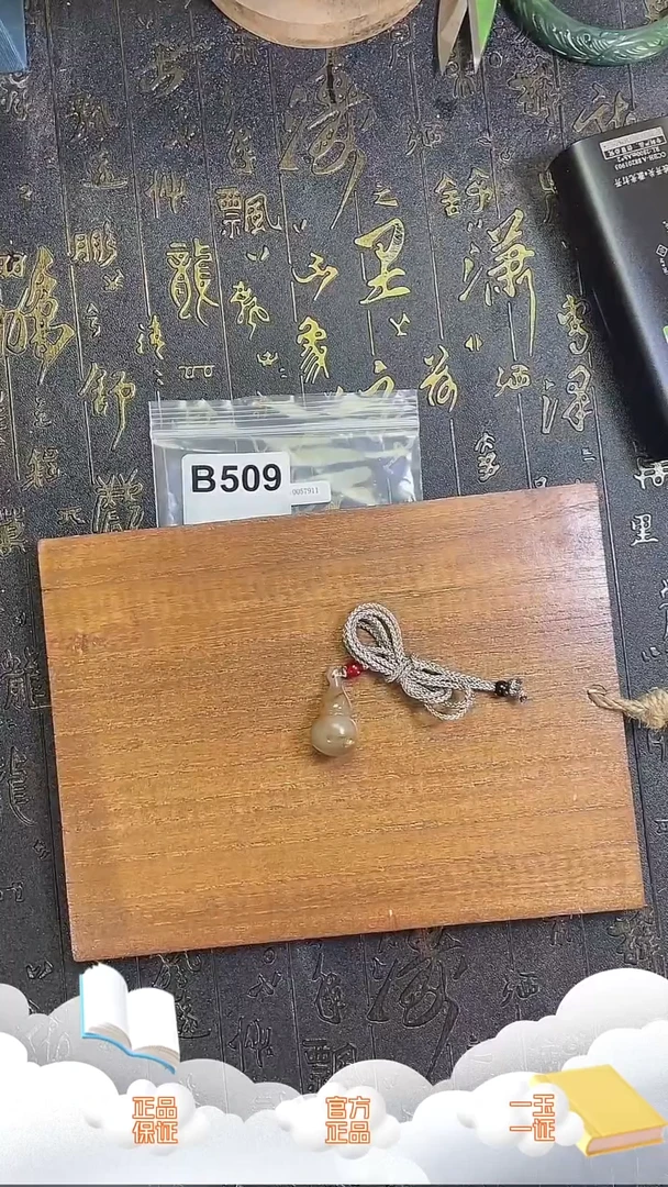 颈饰未镶嵌和田玉B509