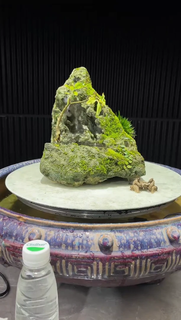 造型吴定石一物一拍专属